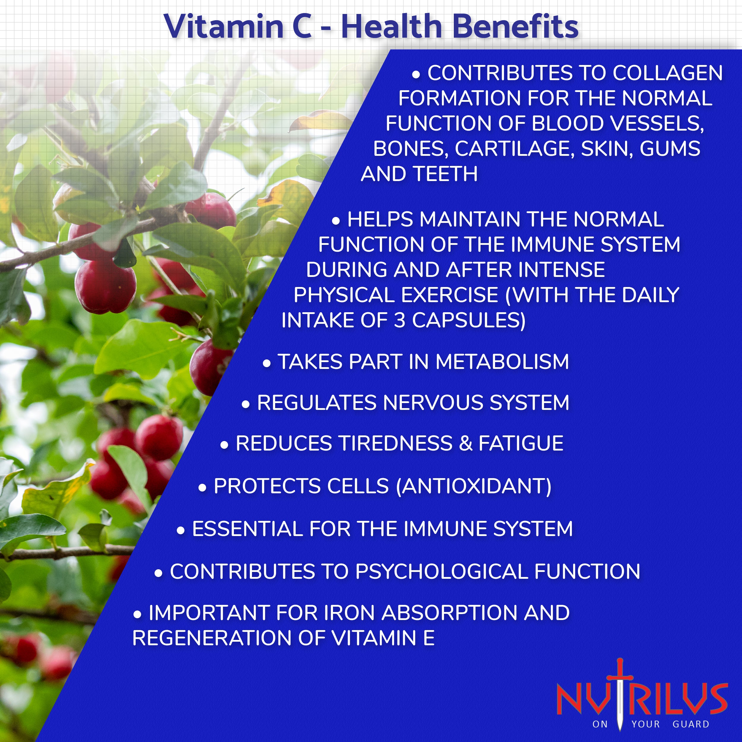 Natural Vitamin C from Acerola Cherry Capsules 125mg