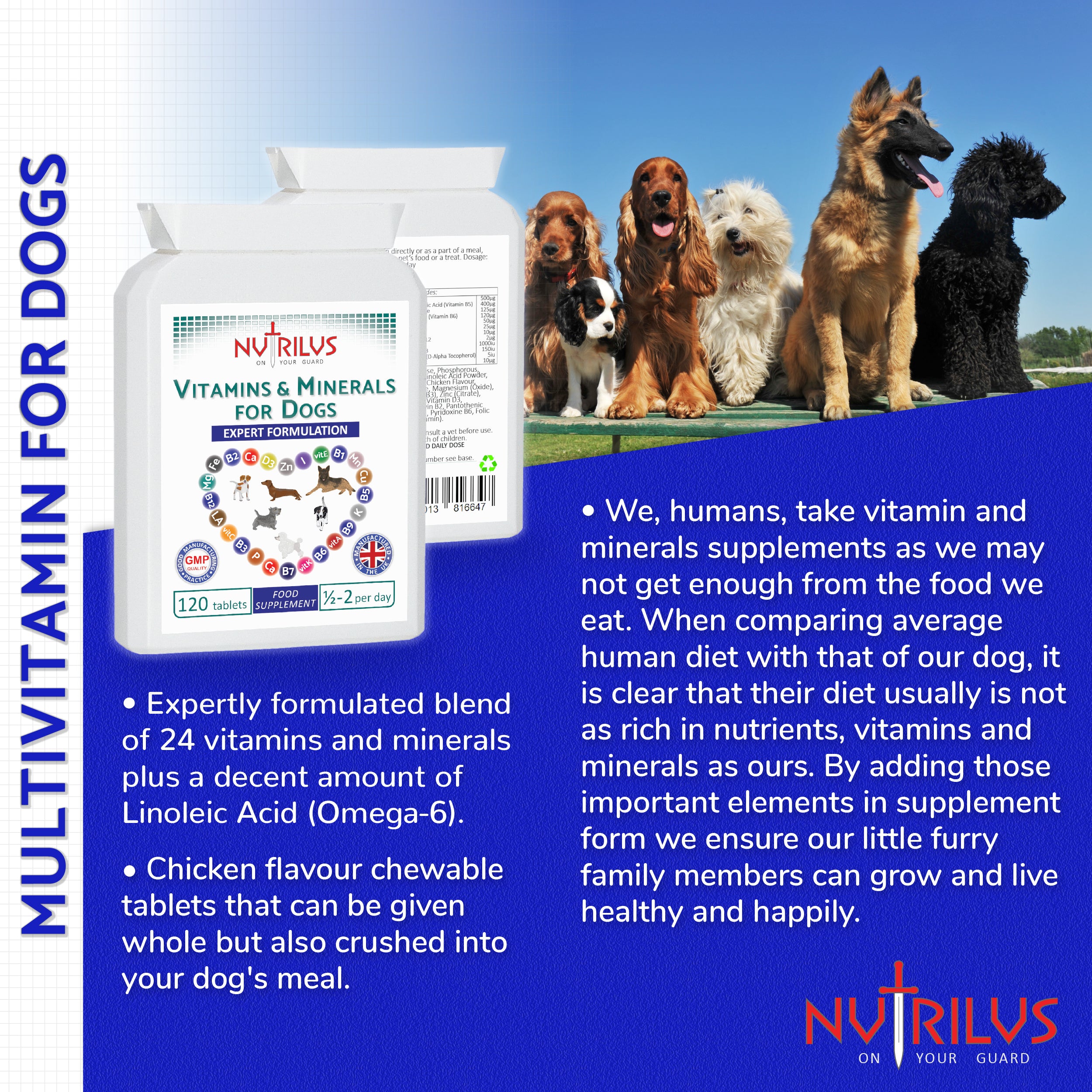 Vitamins & Minerals For Dogs 120 Chicken Flavour Tablets