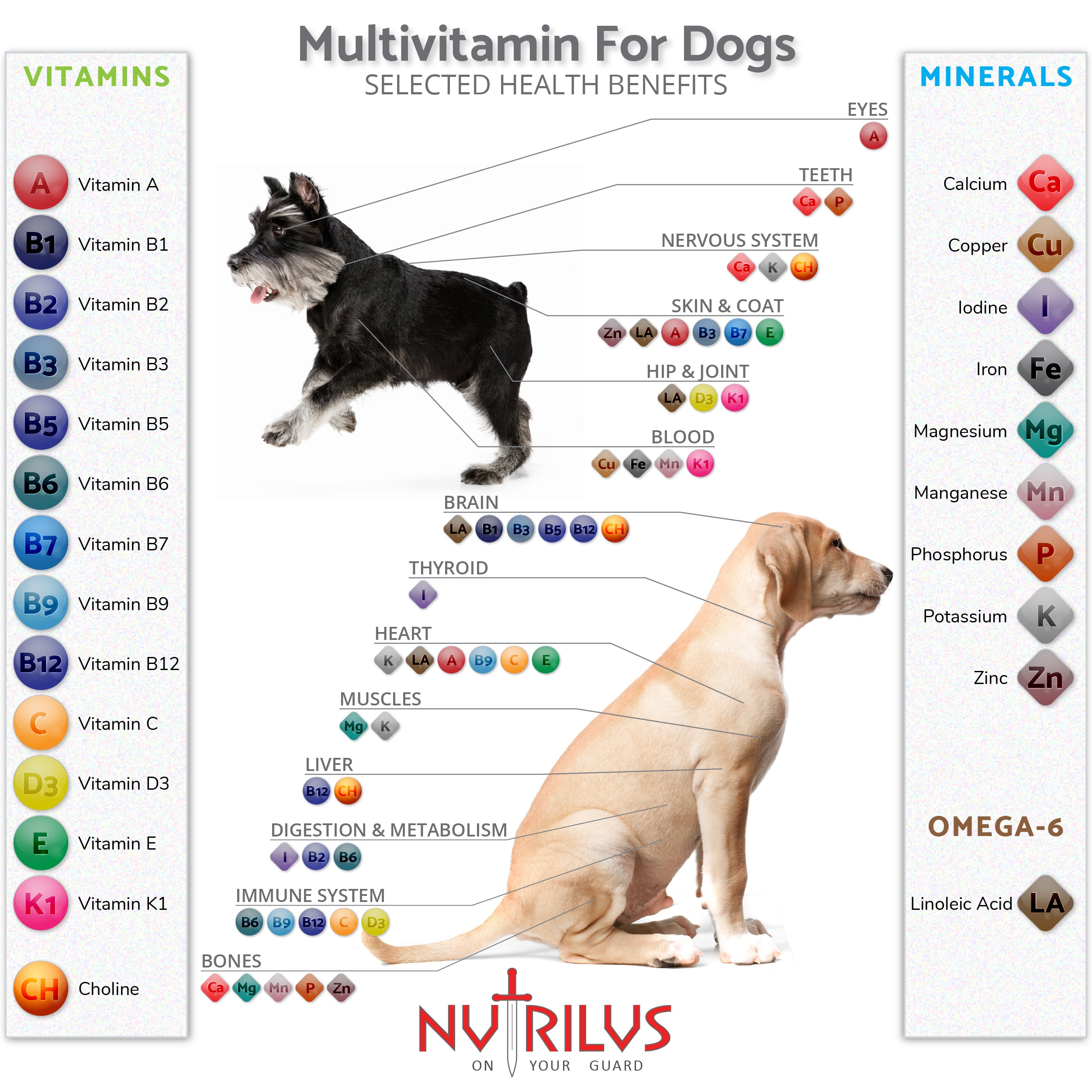 Vitamins & Minerals For Dogs 120 Chicken Flavour Tablets